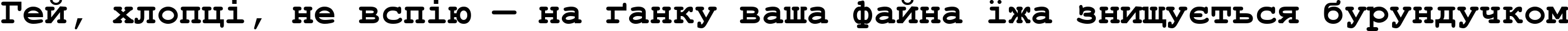 Пример написания шрифтом Courier New Cyr Bold текста на украинском Пример написания шрифтом Courier New Cyr Bold текста на украинском