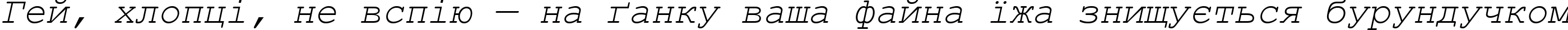 Пример написания шрифтом Courier New Italic текста на украинском Пример написания шрифтом Courier New Italic текста на украинском