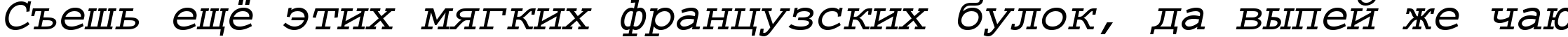 Пример написания шрифтом CourierMCY Bold Oblique текста на русском Пример написания шрифтом CourierMCY Bold Oblique текста на русском