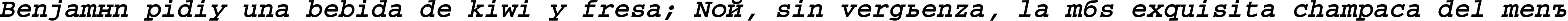 Пример написания шрифтом CourierTM Bold Italic текста на испанском
