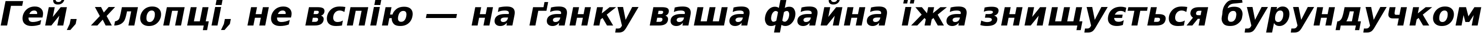 Пример написания шрифтом DejaVu Sans Bold Oblique текста на украинском