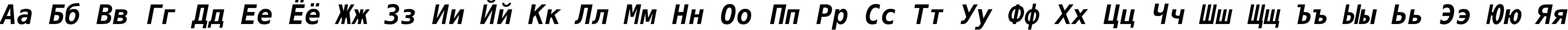 Пример написания русского алфавита шрифтом DejaVu Sans Mono Bold Oblique