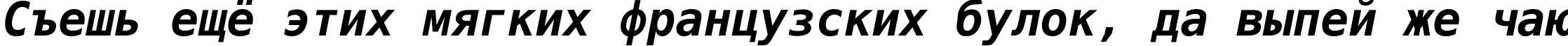 Пример написания шрифтом DejaVu Sans Mono Bold Oblique текста на русском