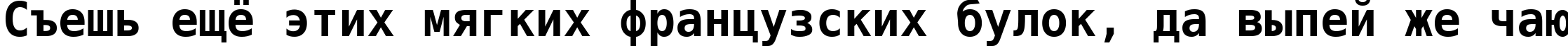 Пример написания шрифтом DejaVu Sans Mono Bold текста на русском