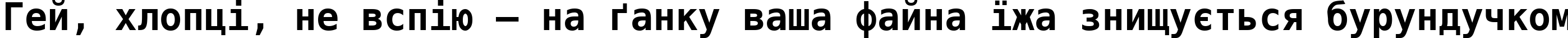 Пример написания шрифтом DejaVu Sans Mono Bold текста на украинском