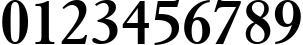 Пример написания цифр шрифтом Elegant Garamond Bold BT