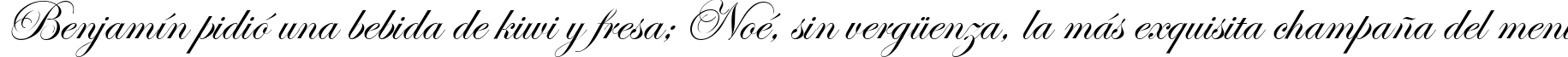 Пример написания шрифтом Esenin script One текста на испанском