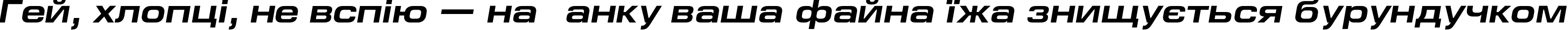 Пример написания шрифтом EuropeExt Bold Italic текста на украинском Пример написания шрифтом EuropeExt Bold Italic текста на украинском