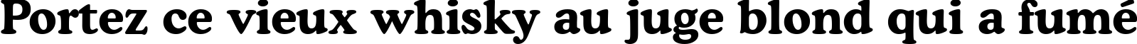 Пример написания шрифтом font111 текста на французском