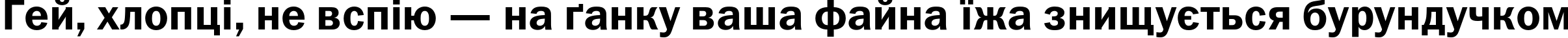 Пример написания шрифтом FranklinGothicDemiC текста на украинском Пример написания шрифтом FranklinGothicDemiC текста на украинском