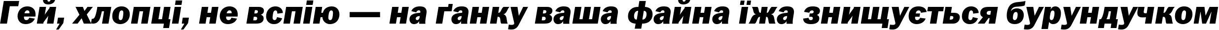 Пример написания шрифтом FranklinGothicHeavyC Italic текста на украинском Пример написания шрифтом FranklinGothicHeavyC Italic текста на украинском