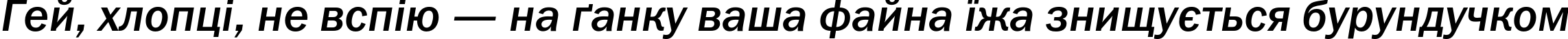 Пример написания шрифтом FranklinGothicMediumC Italic текста на украинском Пример написания шрифтом FranklinGothicMediumC Italic текста на украинском