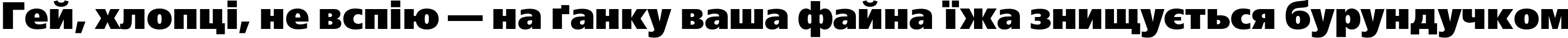 Пример написания шрифтом FreeSetBlackC текста на украинском Пример написания шрифтом FreeSetBlackC текста на украинском