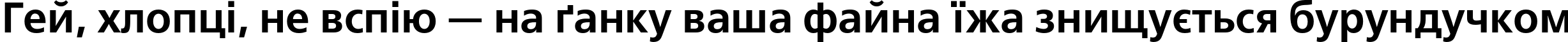 Пример написания шрифтом FreeSetC Bold текста на украинском Пример написания шрифтом FreeSetC Bold текста на украинском