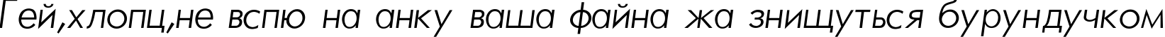Пример написания шрифтом Futura_Light-Normal-Italic текста на украинском