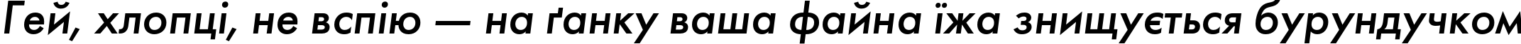 Пример написания шрифтом FuturisC Italic текста на украинском Пример написания шрифтом FuturisC Italic текста на украинском