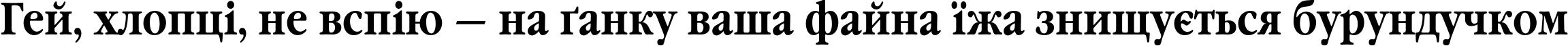 Пример написания шрифтом GaramondNarrowC Bold текста на украинском Пример написания шрифтом GaramondNarrowC Bold текста на украинском