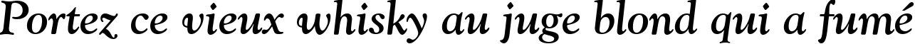 Пример написания шрифтом Goudy Old Style Bold Italic BT текста на французском