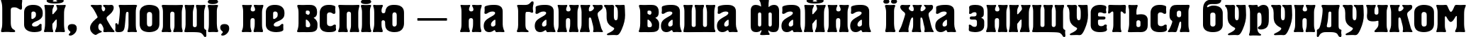 Пример написания шрифтом Herold текста на украинском