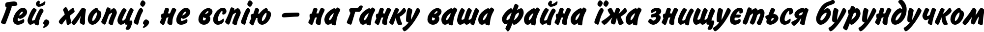 Пример написания шрифтом InformC Bold текста на украинском Пример написания шрифтом InformC Bold текста на украинском