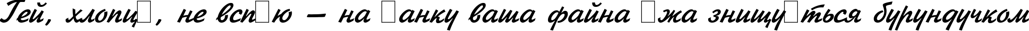 Пример написания шрифтом Jikharev Bold Italic:001.017 текста на украинском