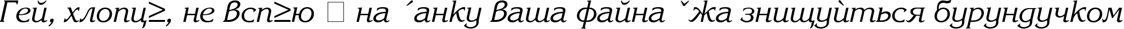Пример написания шрифтом Karina Italic текста на украинском Пример написания шрифтом Karina Italic текста на украинском