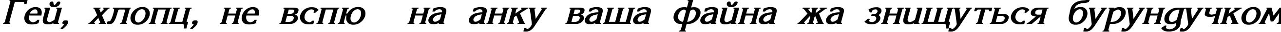 Пример написания шрифтом Korinna_SU Bold Italic текста на украинском