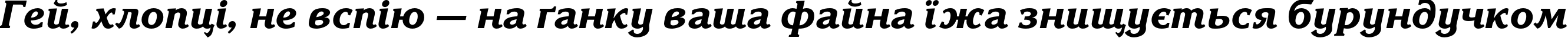 Пример написания шрифтом KorinnaBlackC Italic текста на украинском Пример написания шрифтом KorinnaBlackC Italic текста на украинском