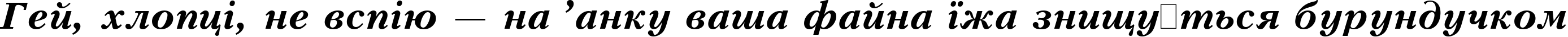Пример написания шрифтом Kudrashov Bold Italic:001.001 текста на украинском
