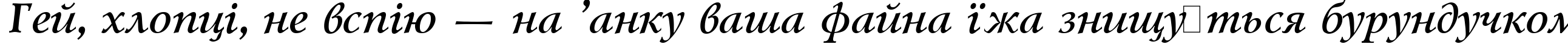 Пример написания шрифтом Lazursky Bold Italic:001.001 текста на украинском