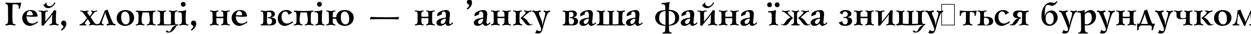 Пример написания шрифтом Lazursky Bold:001.001 текста на украинском Пример написания шрифтом Lazursky Bold:001.001 текста на украинском