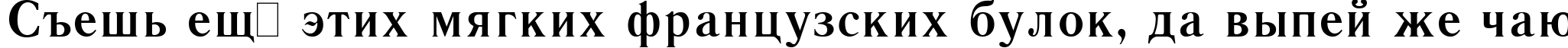 Пример написания шрифтом Literaturnaya Bold:001.001 текста на русском