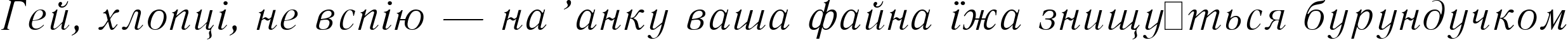 Пример написания шрифтом Literaturnaya Italic:001.001 текста на украинском Пример написания шрифтом Literaturnaya Italic:001.001 текста на украинском