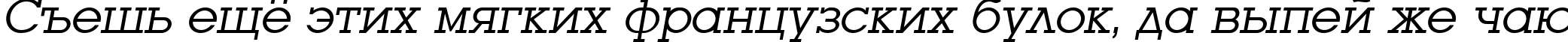 Пример написания шрифтом LugaBook Book Oblique текста на русском Пример написания шрифтом LugaBook Book Oblique текста на русском