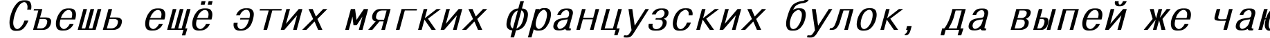 Пример написания шрифтом MonoCondensed Bold Italic текста на русском