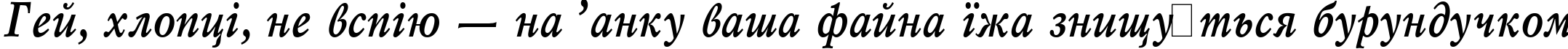 Пример написания шрифтом Mysl Narrow Bold Italic:001.001 текста на украинском