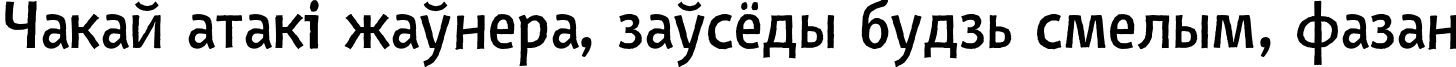 Пример написания шрифтом Nazhdak Regular текста на белорусском Пример написания шрифтом Nazhdak Regular текста на белорусском