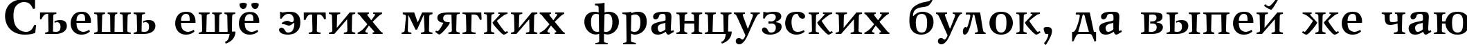 Пример написания шрифтом New Journal Bold:001.001 текста на русском