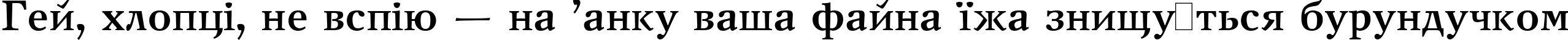 Пример написания шрифтом New Journal Bold:001.001 текста на украинском Пример написания шрифтом New Journal Bold:001.001 текста на украинском