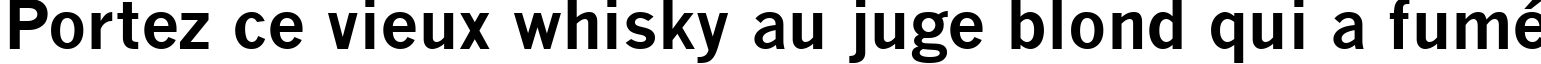Пример написания шрифтом News Gothic MT Bold текста на французском Пример написания шрифтом News Gothic MT Bold текста на французском