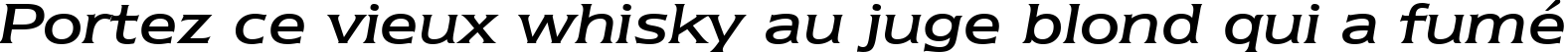 Пример написания шрифтом Newtext Regular Italic BT текста на французском