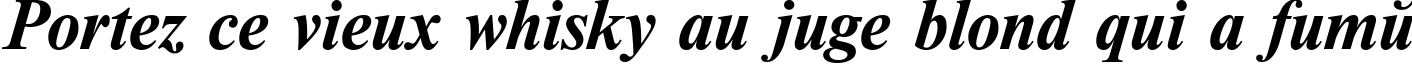 Пример написания шрифтом Newton Bold Italic текста на французском