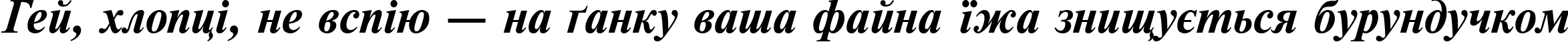 Пример написания шрифтом Newton Bold Italic текста на украинском