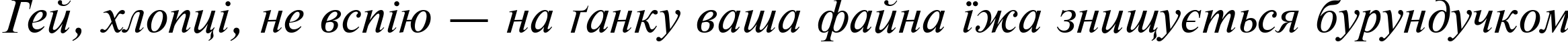 Пример написания шрифтом Newton Italic текста на украинском Пример написания шрифтом Newton Italic текста на украинском