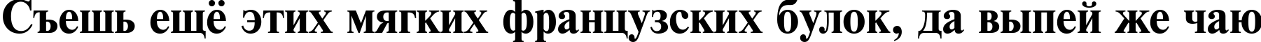 Пример написания шрифтом NewtonCTT Bold текста на русском