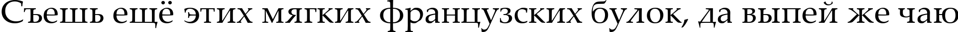 Пример написания шрифтом Palatino Linotype текста на русском