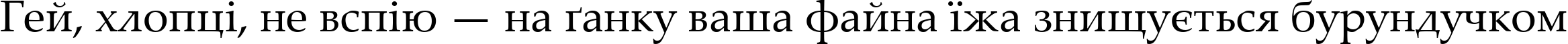 Пример написания шрифтом Palatino Linotype текста на украинском