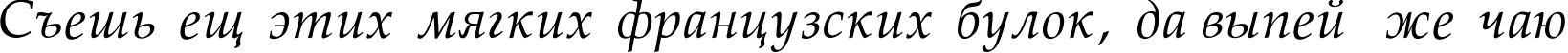 Пример написания шрифтом Palatino-Normal-Italic текста на русском