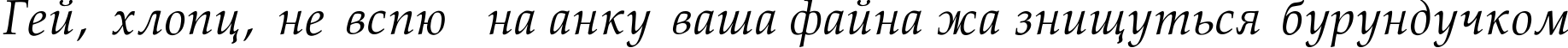 Пример написания шрифтом Palatino-Normal-Italic текста на украинском