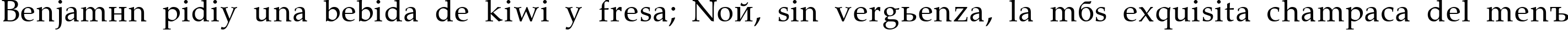 Пример написания шрифтом Palatino текста на испанском